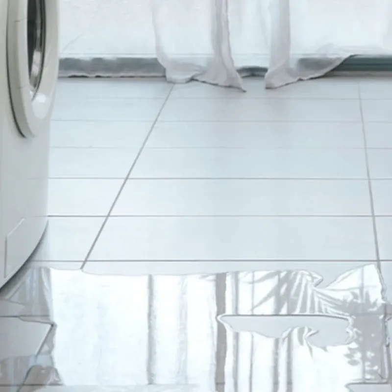 Appliance Leak Cleanup in Port Charlotte, FL